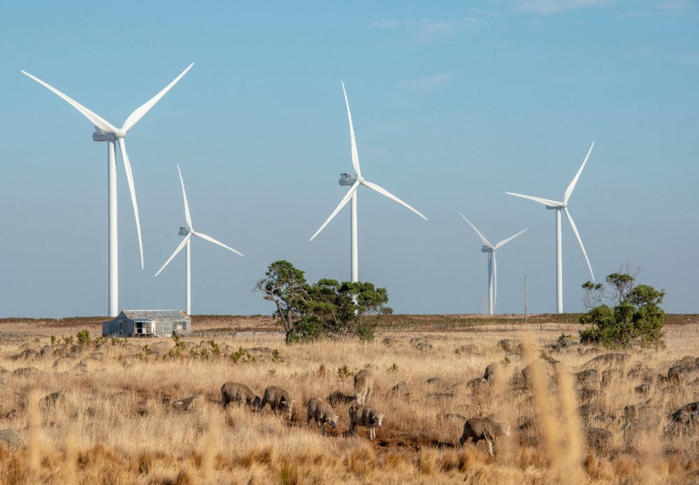 windfarm