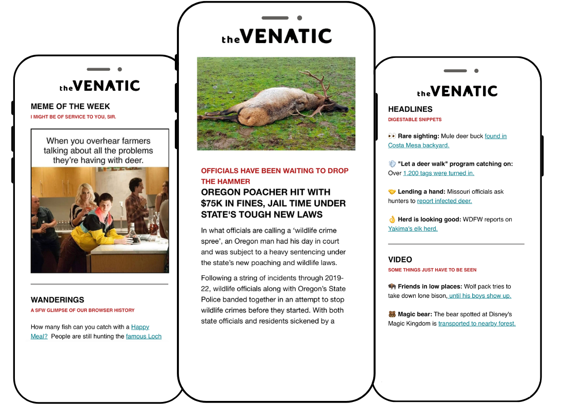 thevenatic-newsletter-mock-up