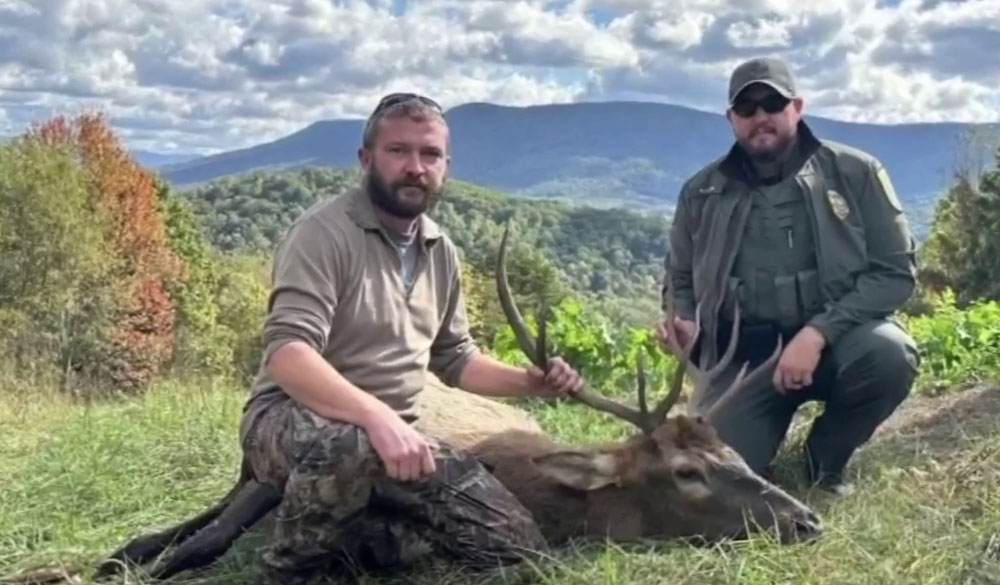 giles-county-bull-elk