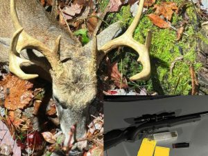 illegally-killed-buck