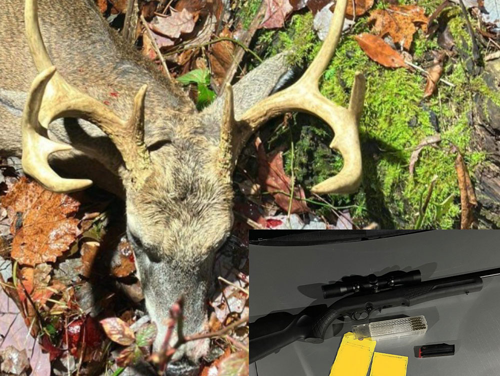 Pennsylvania Trio Facing Slew Of Charges For Month-Long Poaching Spree ...